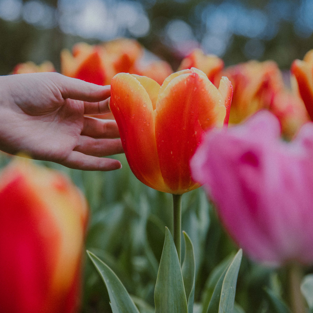 Earth Day 2022: What Can You Do About Climate Change?