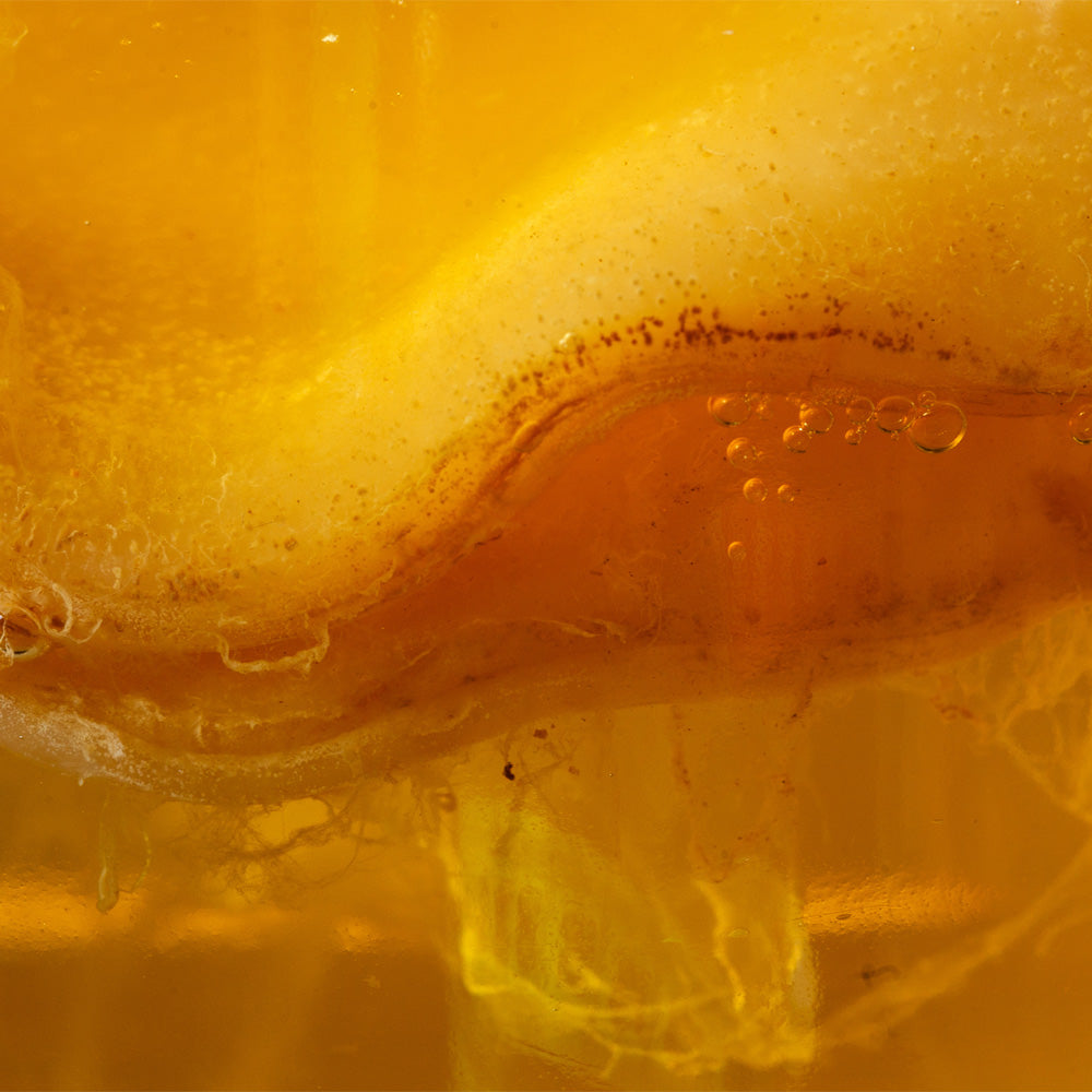 Signs Of a Scoby Developing