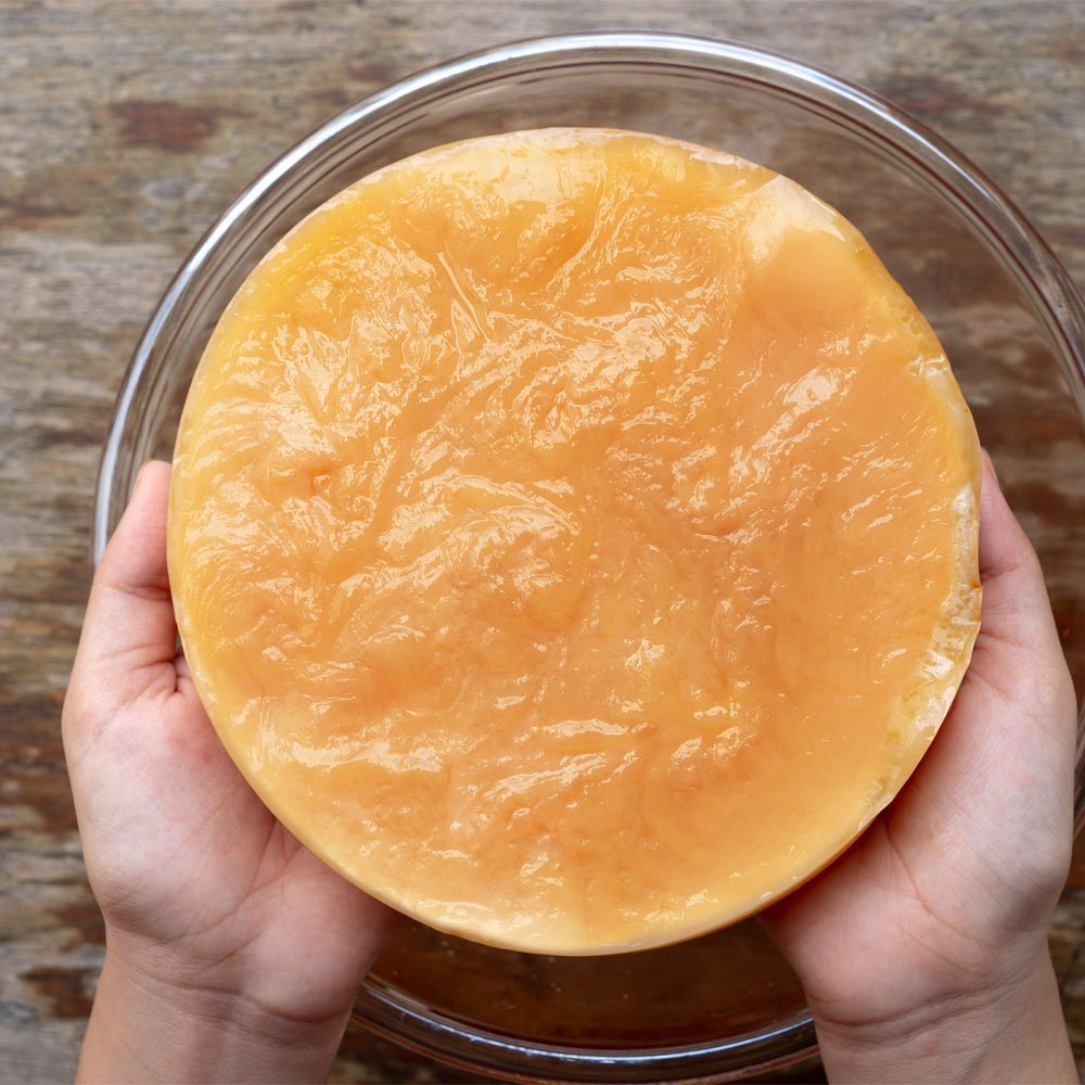 Scoby and Everything Symbiotic Culture of Good Bacteria & Yeast Related