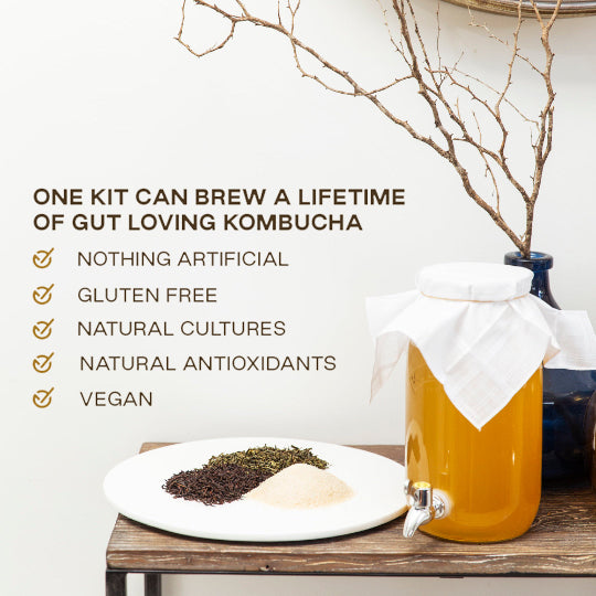 Home Brew Kits